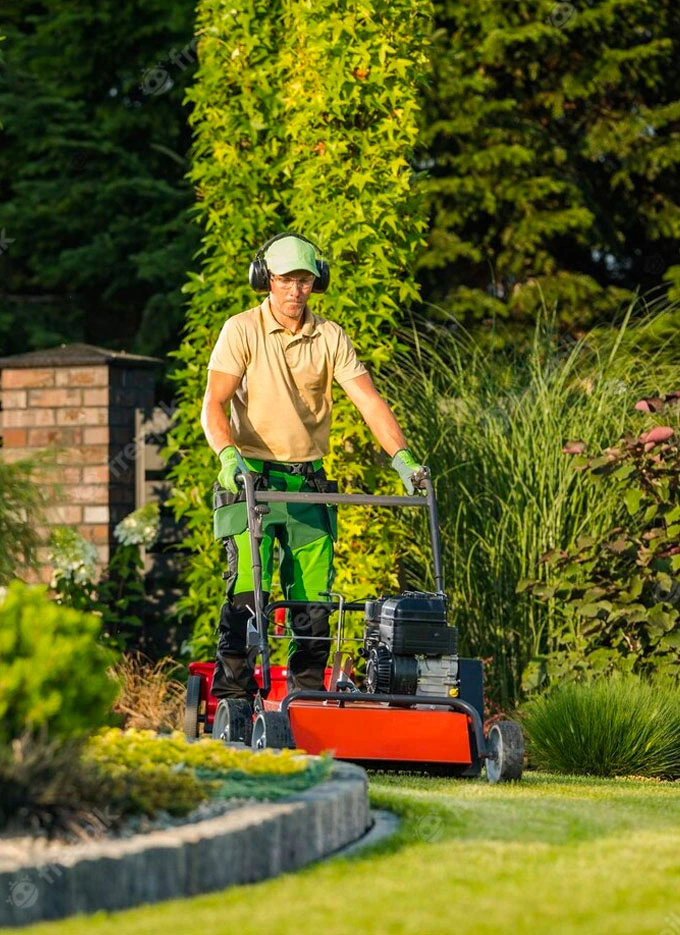 Servicio de jardinería y remodelación