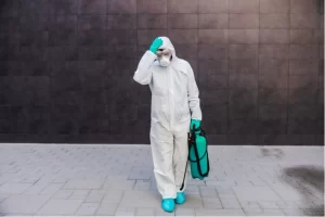 errores que puedes cometer al intentar eliminar una plaga de forma particular