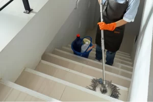 qué es un plan maestro de limpieza