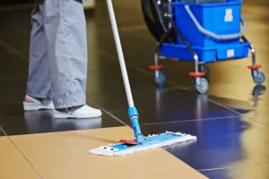 servicio de limpieza